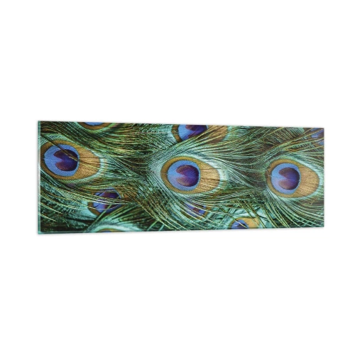Glasbild - Bild auf glas - Ein Blick mit Pfauenaugen - 90x30 cm