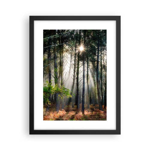 Poster in einem schwarzem Rahmen - Waldgebiet - 30x40 cm