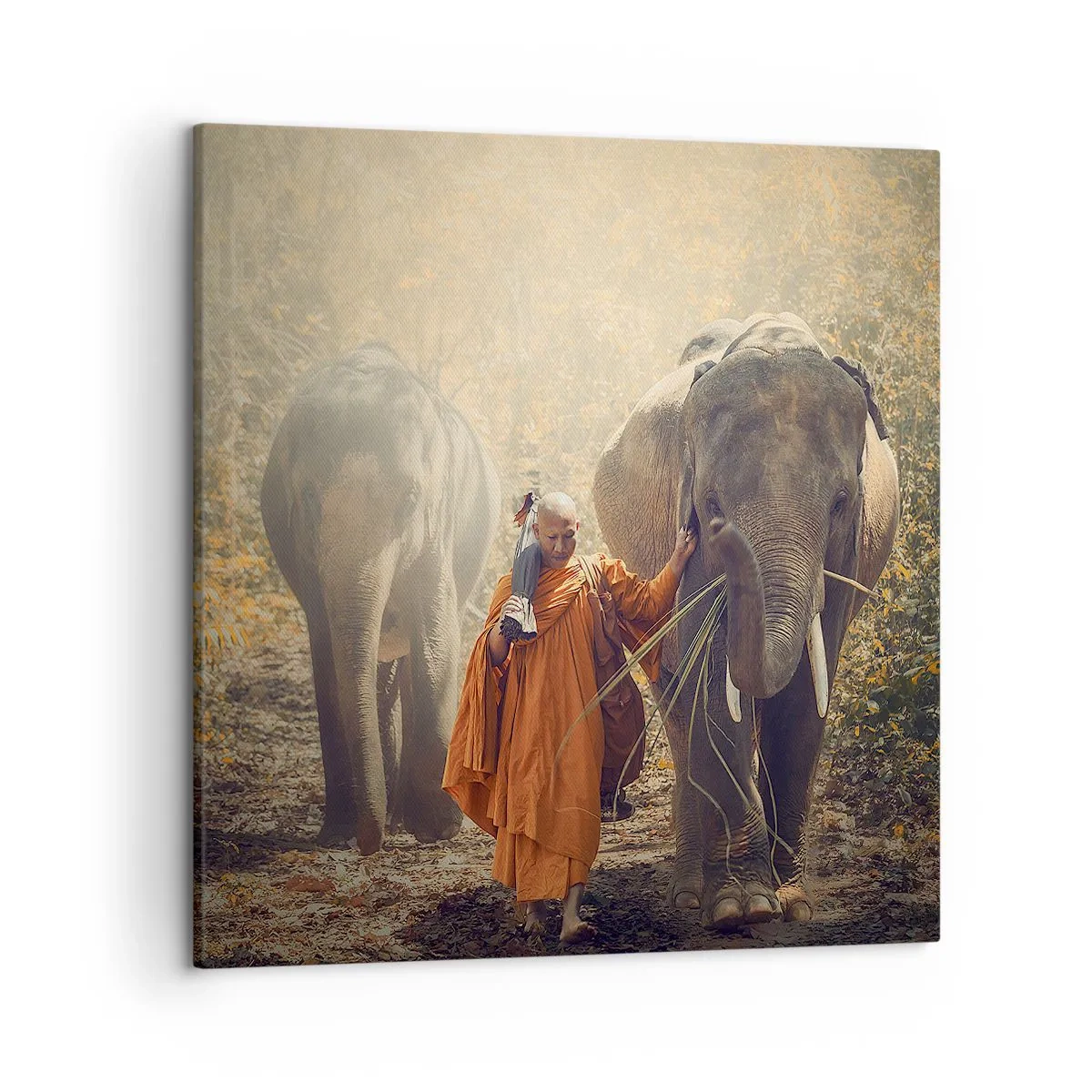 Bild auf Leinwand - Leinwandbild - Volles Verständnis - 50x50 cm