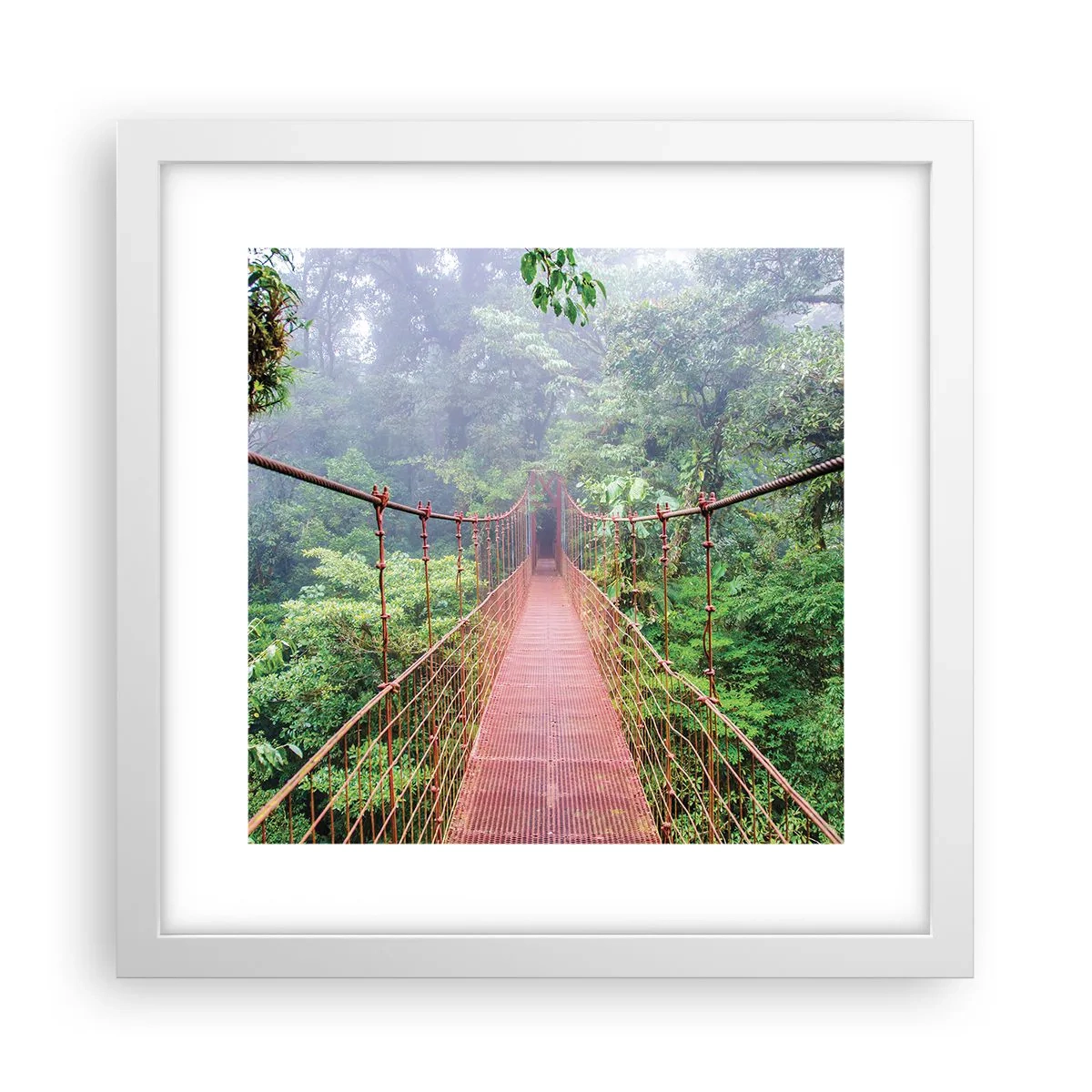 Poster in einem weißen Rahmen - Über den Kronen aufgehängt - 30x30 cm