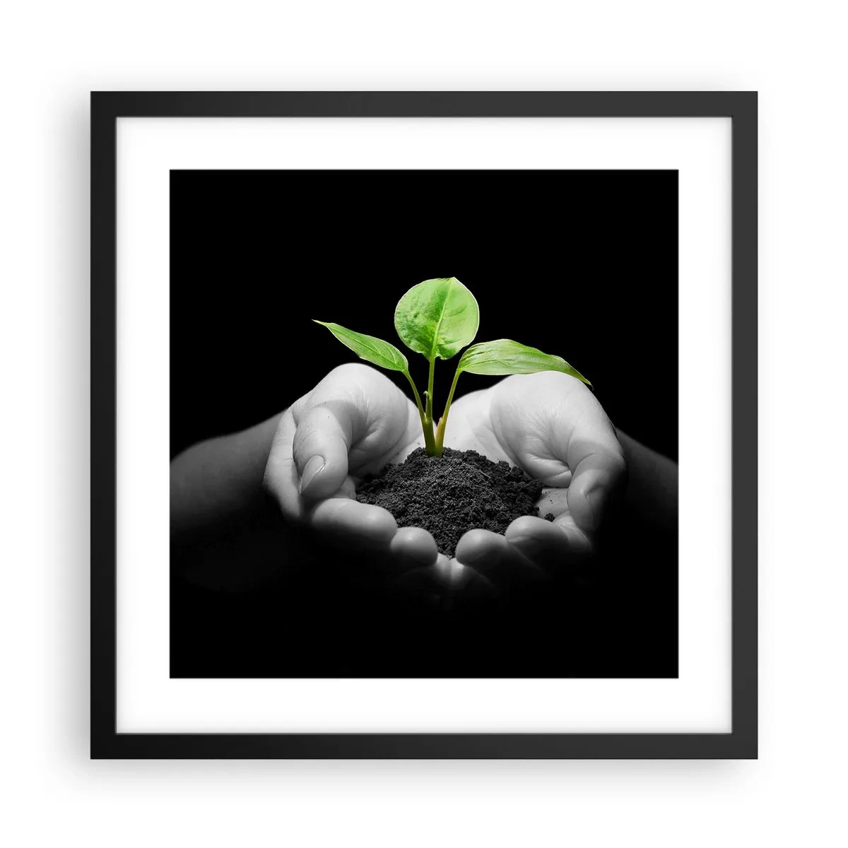 Poster in einem schwarzem Rahmen - Ich liebe die Natur, ich beschütze sie - 40x40 cm