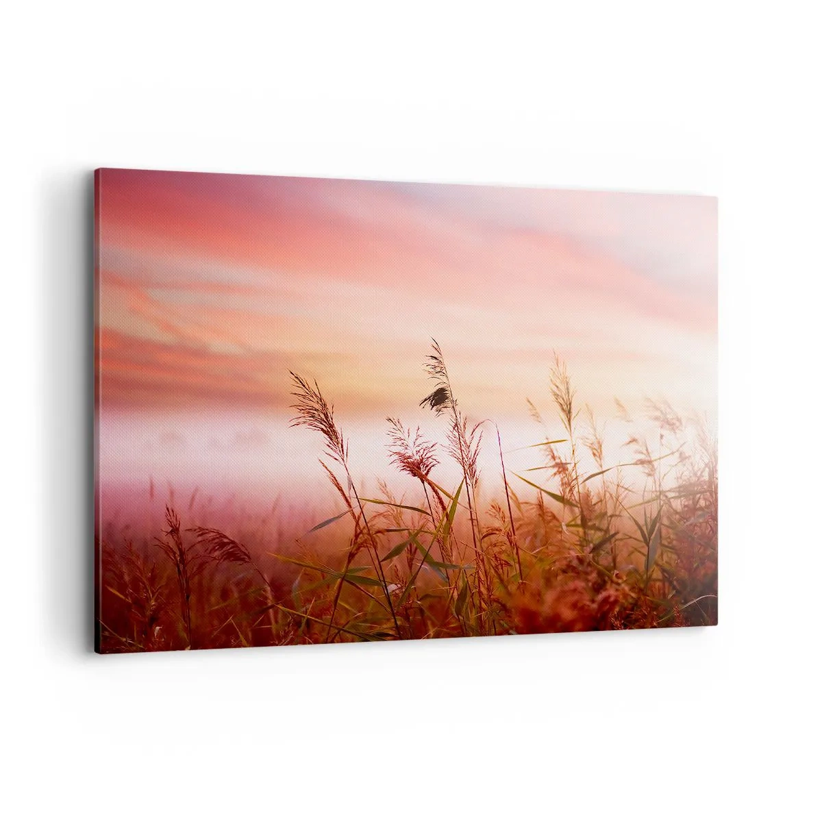 Bild auf Leinwand - Leinwandbild - Ein Grasfeld vor der Kulisse eines malerischen Sonnenuntergangs - 100x70cm - Drachen, Löwenzahn, Wind - Moderne Wanddekoration für Wohnzimmer und Schlafzimmer ARTTOR