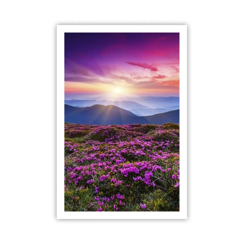 Poster - Kräuter dufteten nach frischen Trauben von den Feldern - 61x91 cm