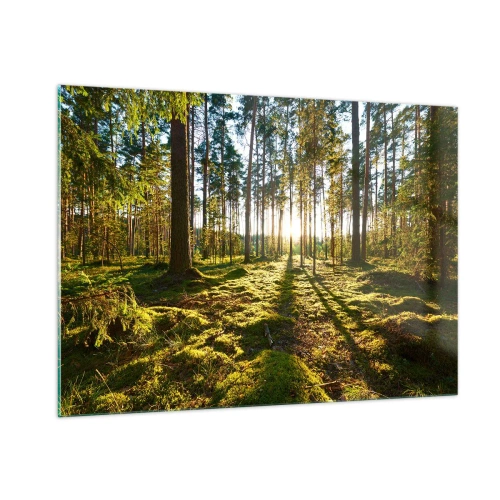 Glasbild - Bild auf glas - Sonnenstrahlen dringen durch die Bäume im Wald - 100x70cm - … Hinter den sieben Wäldern - Moderne Wanddekoration für Wohnzimmer und Schlafzimmer ARTTOR