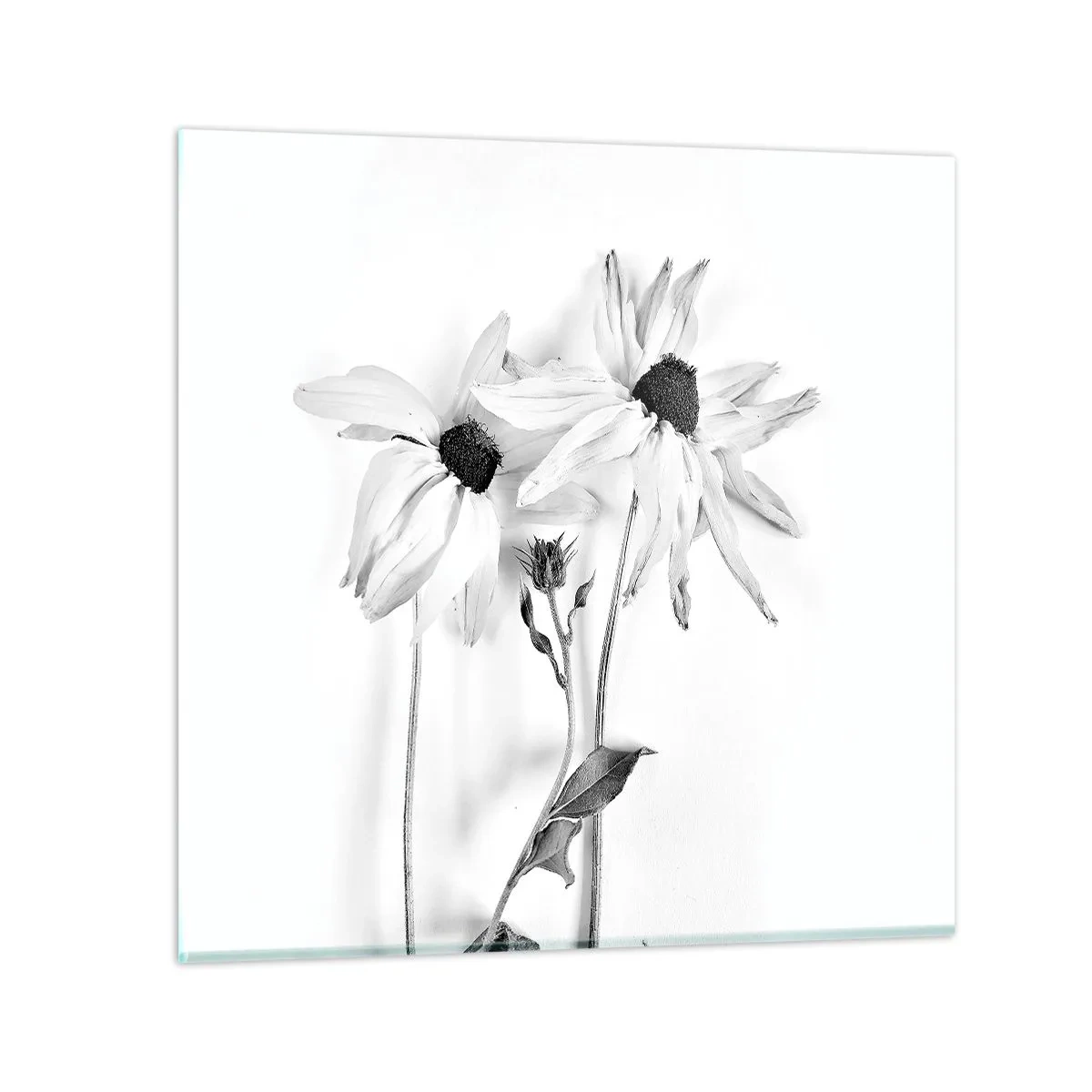 Glasbild - Bild auf glas - Niemand will allein sein - 50x50 cm