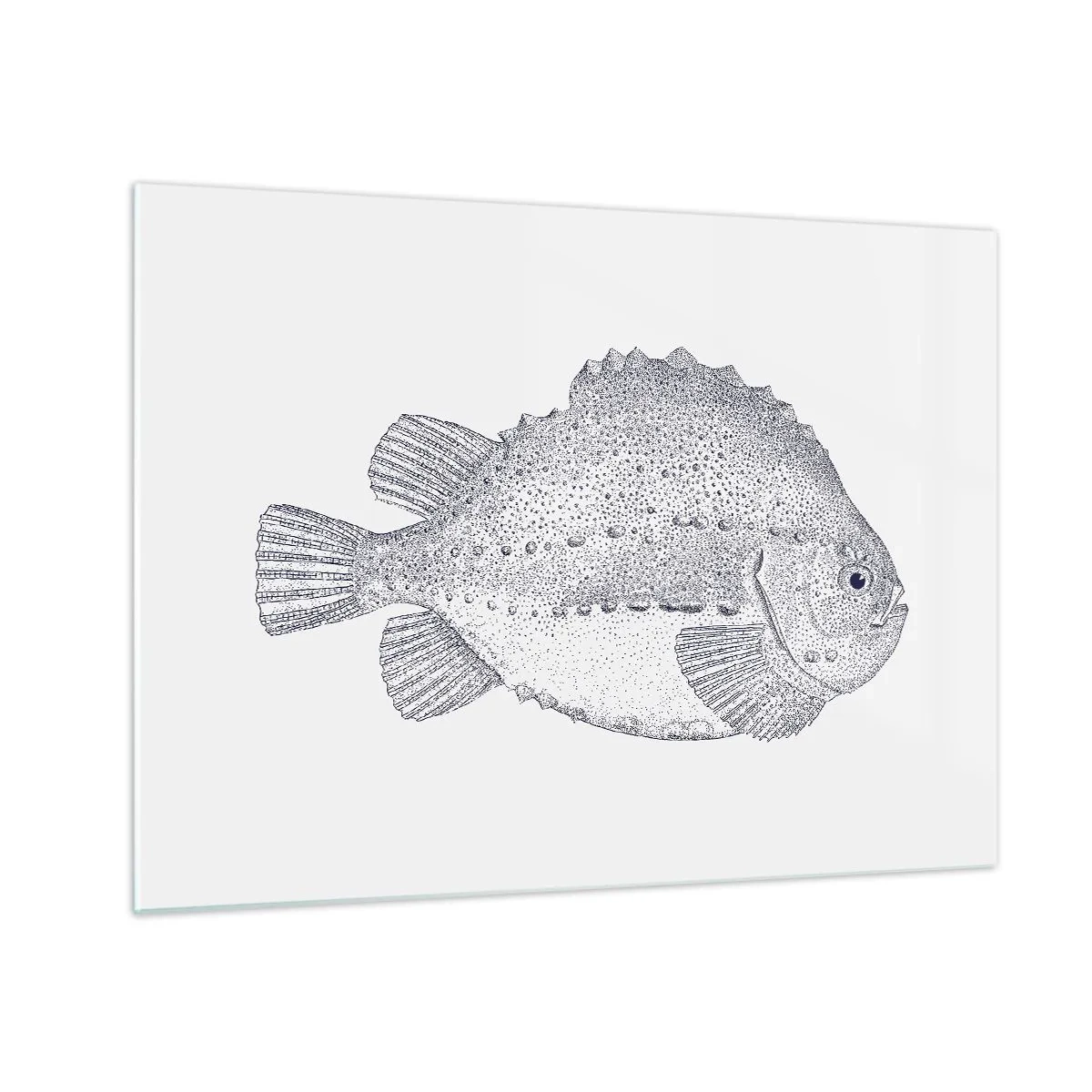 Glasbild - Bild auf glas - Detaillierte Gravur eines Fisches auf weißem Hintergrund im Naturstil - 70x50cm - Für das Album des Naturforschers - Moderne Wanddekoration für Wohnzimmer und Schlafzimmer ARTTOR