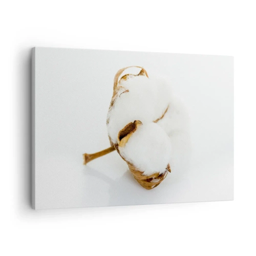 Bild auf Leinwand - Leinwandbild - Ein Baumwollzweig auf hellem Hintergrund in minimalistischem Ansatz - 70x50cm - Von Natur aus weich - Moderne Wanddekoration für Wohnzimmer und Schlafzimmer ARTTOR