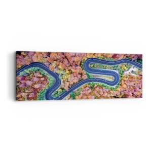 Bild auf Leinwand - Leinwandbild - Kurvenreicher Weg durch den Wald - 90x30 cm