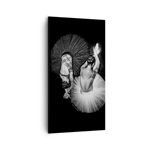 Bild auf Leinwand - Leinwandbild - Jin und Jang – perfekte Balance - 55x100 cm
