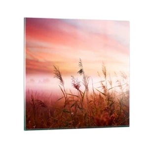 Glasbild - Bild auf glas - Drachen, Löwenzahn, Wind - 60x60 cm