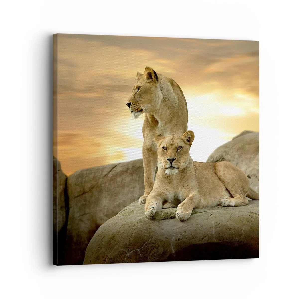 Bild auf Leinwand - Leinwandbild - Königliche Majestät - 30x30 cm