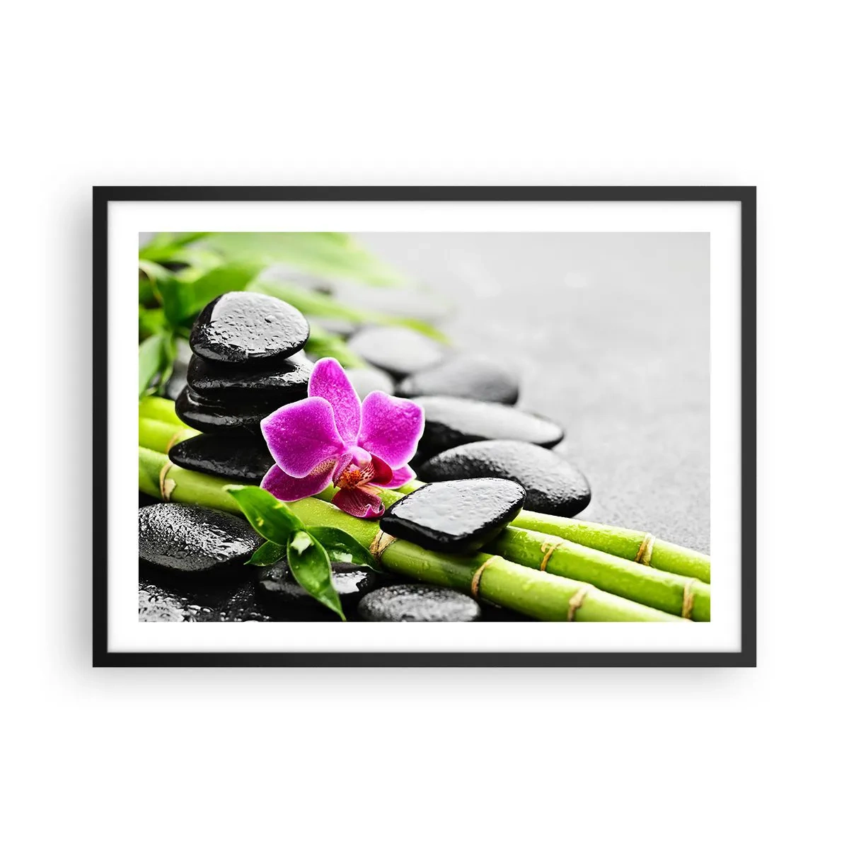 Poster in einem schwarzem Rahmen - Lila Orchidee, schwarze Steine und Bambus in einer ruhigen Komposition - 70x50cm - In ruhiger Balance - Moderne Wanddekoration für Wohnzimmer und Schlafzimmer ARTTOR