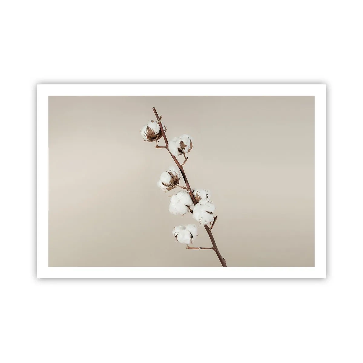 Poster - An der Quelle der Weichheit - 91x61 cm