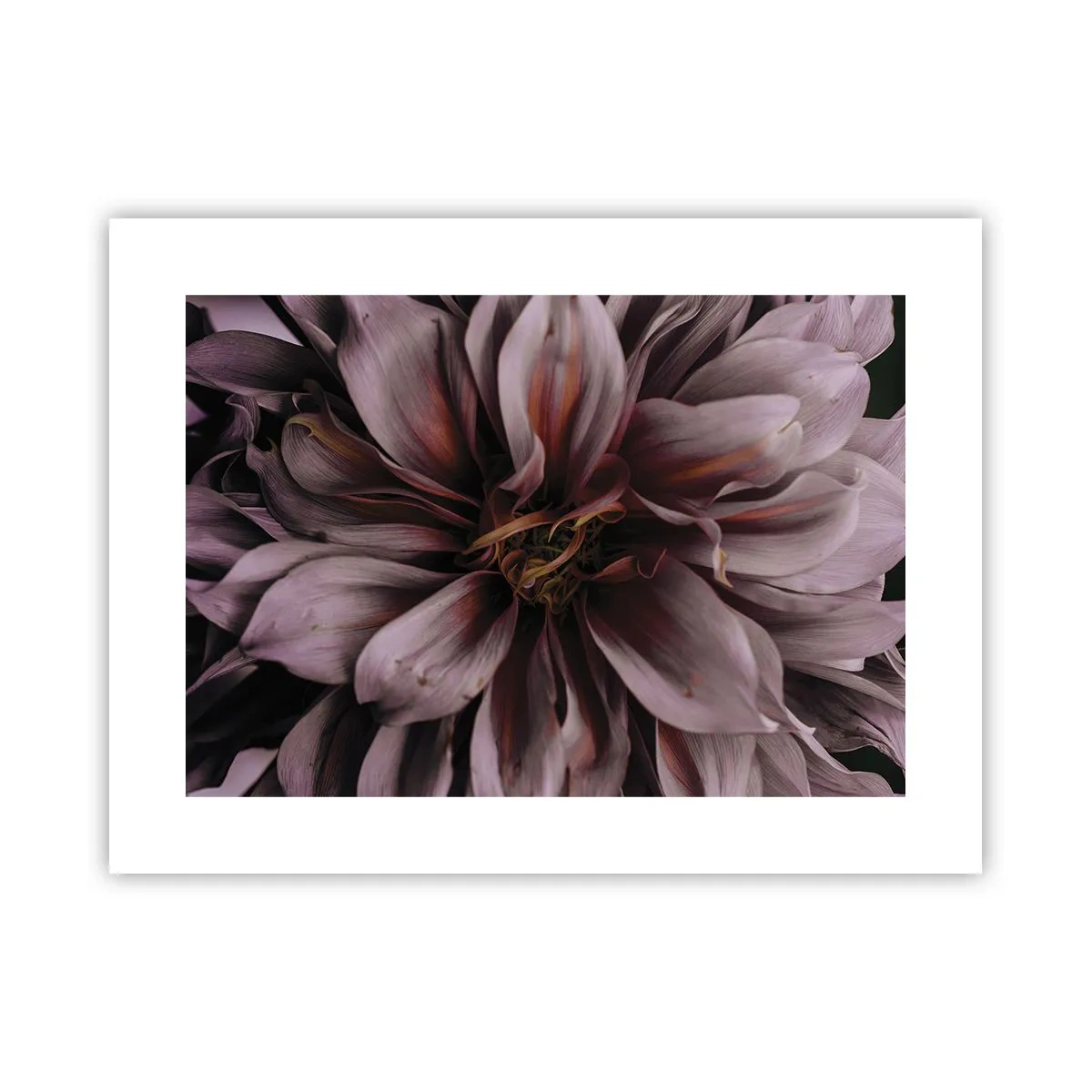 Poster - Ein Blumenherz - 40x30 cm