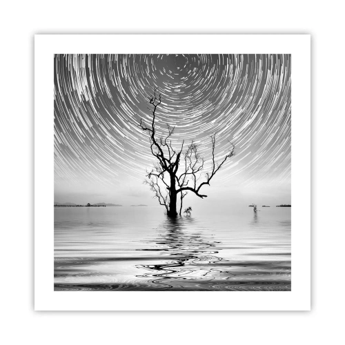 Poster - Eine Sinfonie der Natur - 50x50 cm