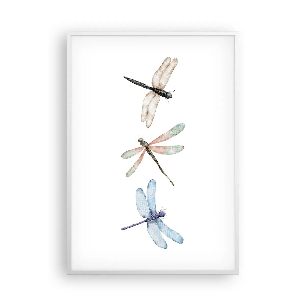 Poster in einem weißen Rahmen - Schwerelose Libellen - 70x100 cm