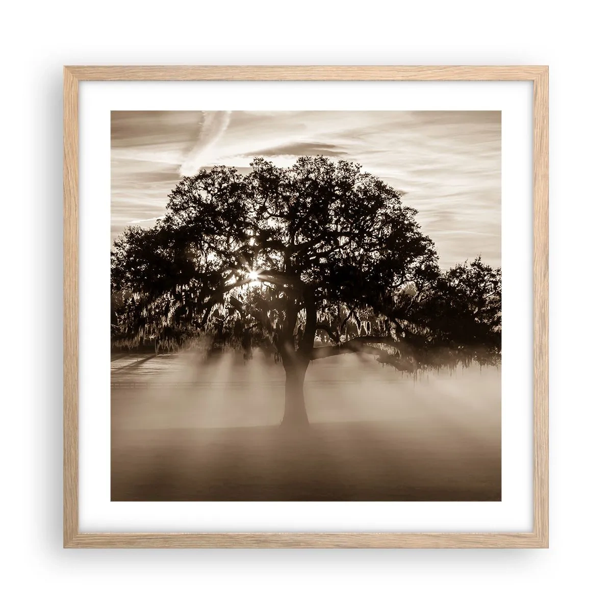 Poster in einem Rahmen aus heller Eiche - Baum der guten Nachrichten  - 50x50 cm