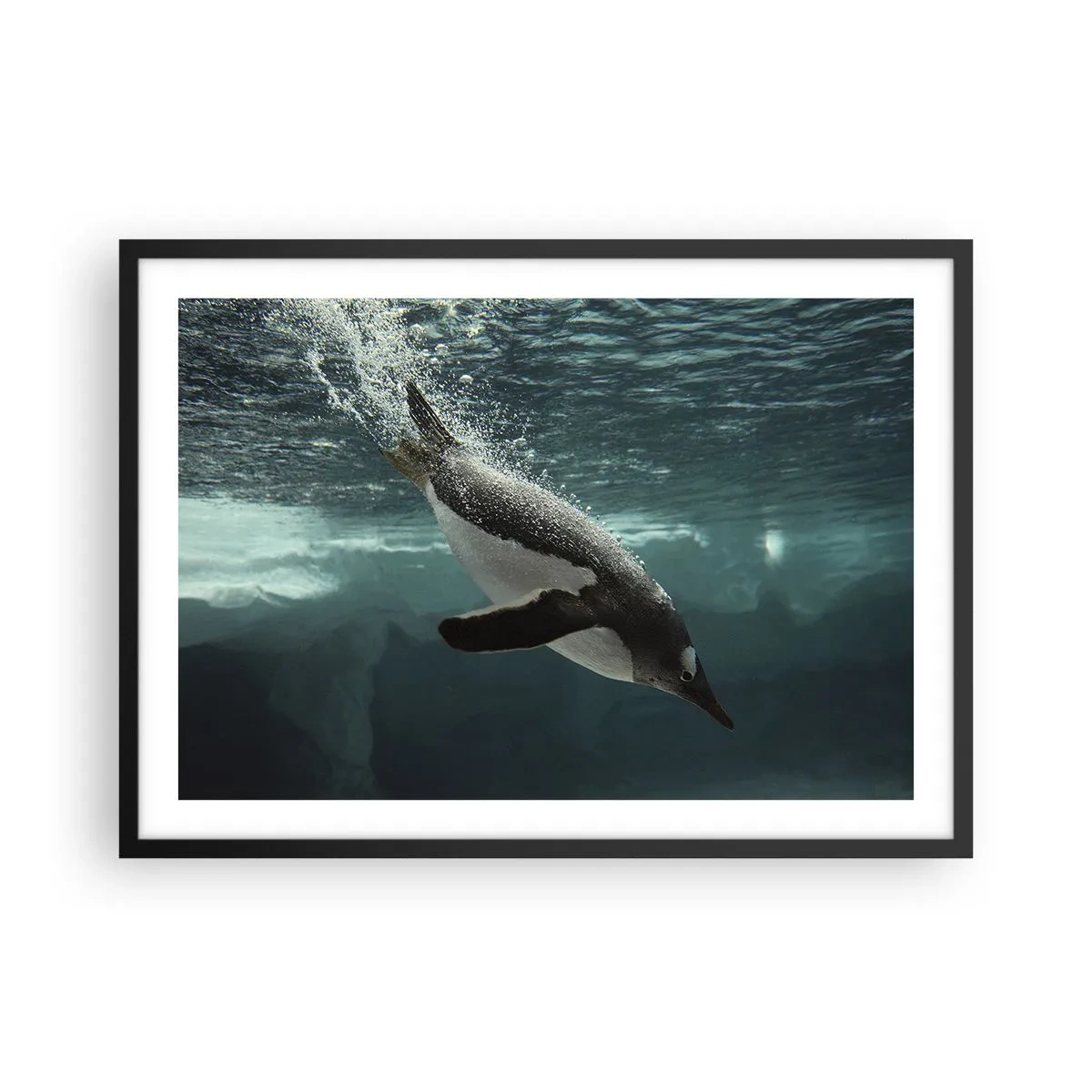 Poster in einem schwarzem Rahmen - Ein Pinguin taucht in die Tiefen des eisigen Wassers - 70x50cm - Willkommen in meiner Welt - Moderne Wanddekoration für Wohnzimmer und Schlafzimmer ARTTOR