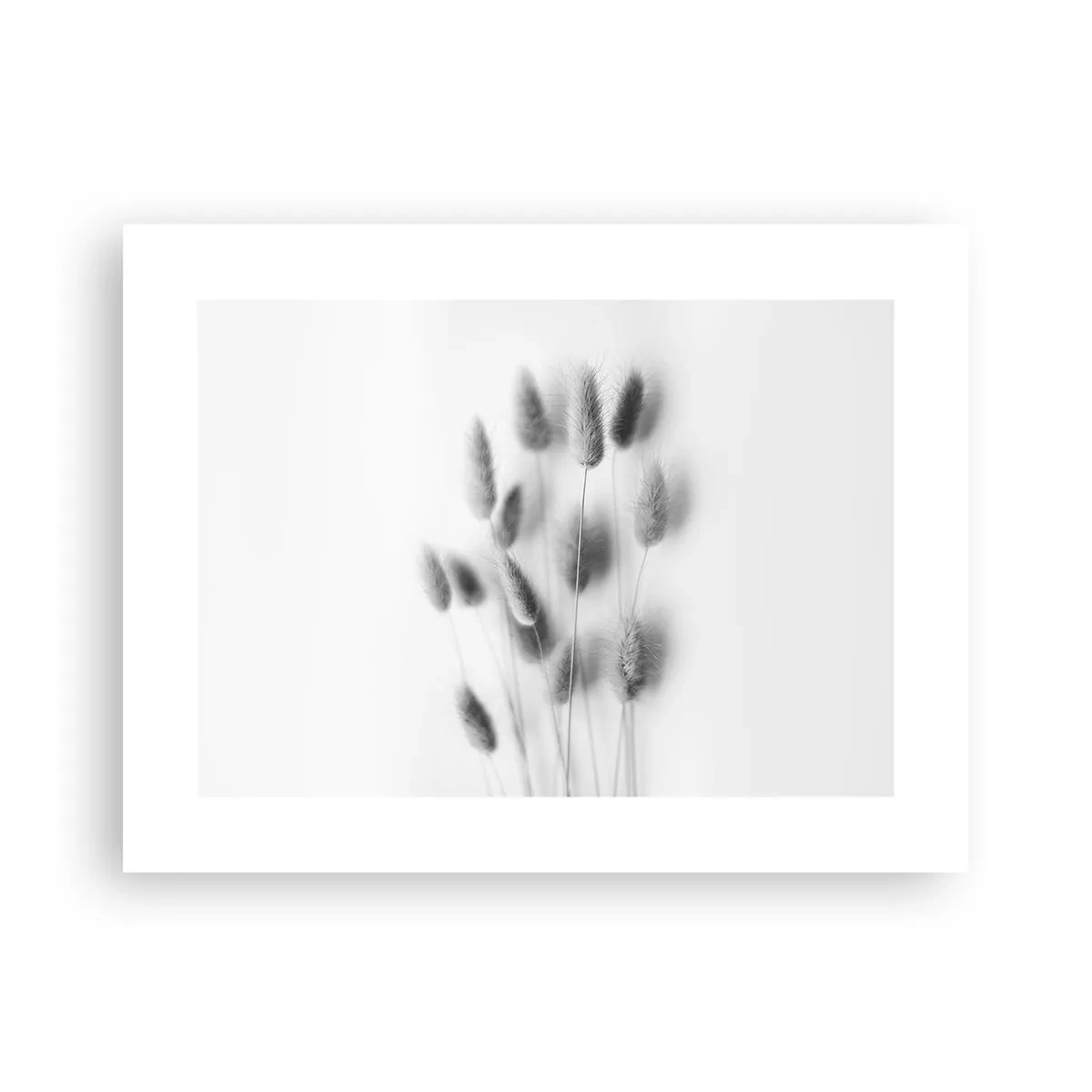 Poster - Eure flauschige Grashoheit - 40x30 cm