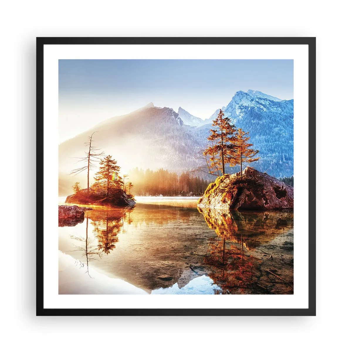Poster in einem schwarzem Rahmen - Natur in neuem Licht - 60x60 cm