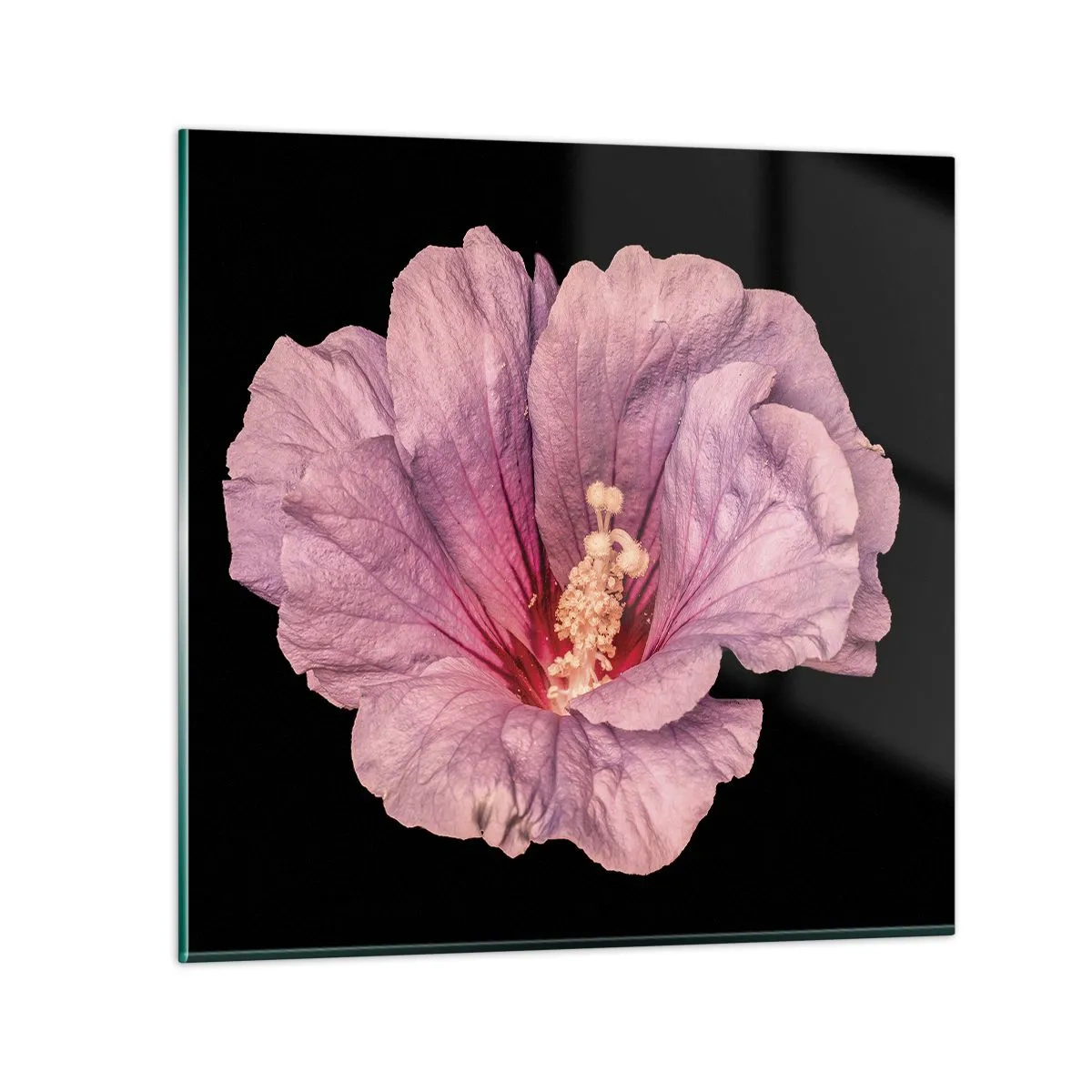 Glasbild - Bild auf glas - Direkt ins Herz - 50x50 cm