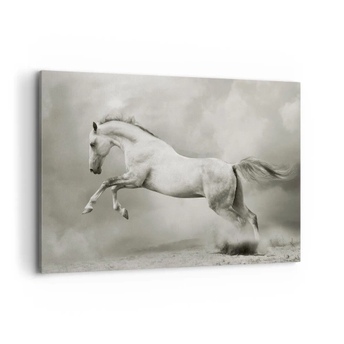 Bild auf Leinwand - Leinwandbild - Ein weißes Pferd in einem dynamischen Sprung vor dem Hintergrund nebliger Wolken. - 100x70cm - Zwischen Aufwachen und Schlafen - Moderne Wanddekoration für Wohnzimmer und Schlafzimmer ARTTOR