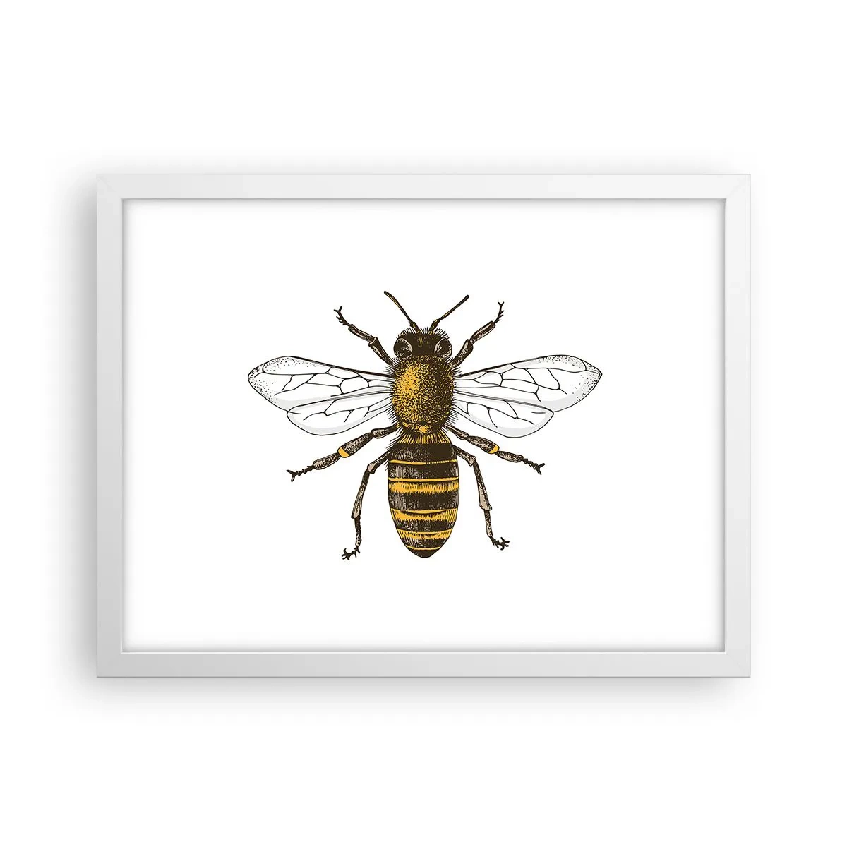 Poster in einem weißen Rahmen - Schön und gut - 40x30 cm