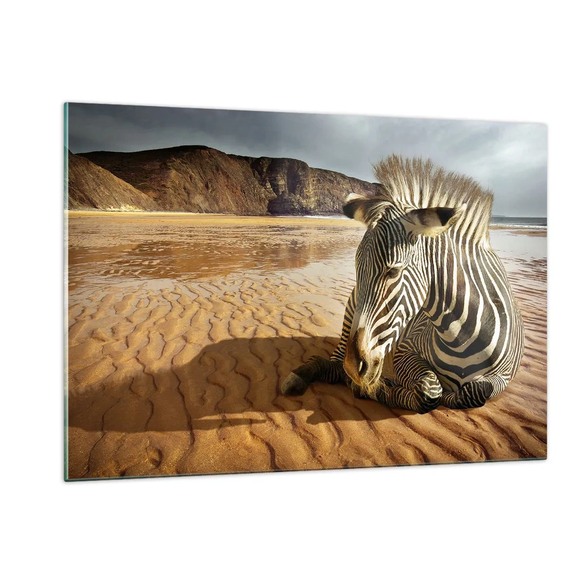 Glasbild - Bild auf glas - Ein Zebra ruht sich bei Sonnenuntergang am Strand aus - 120x80cm - Wir passen zusammen - Moderne Wanddekoration für Wohnzimmer und Schlafzimmer ARTTOR