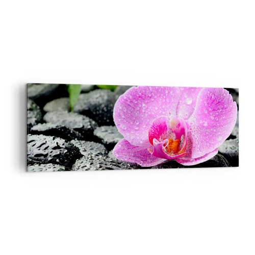 Bild auf Leinwand - Leinwandbild - Rosa Orchidee auf nassen schwarzen Steinen mit grünen Blättern - 140x50cm - Wie ein offenes Herz - Moderne Wanddekoration für Wohnzimmer und Schlafzimmer ARTTOR
