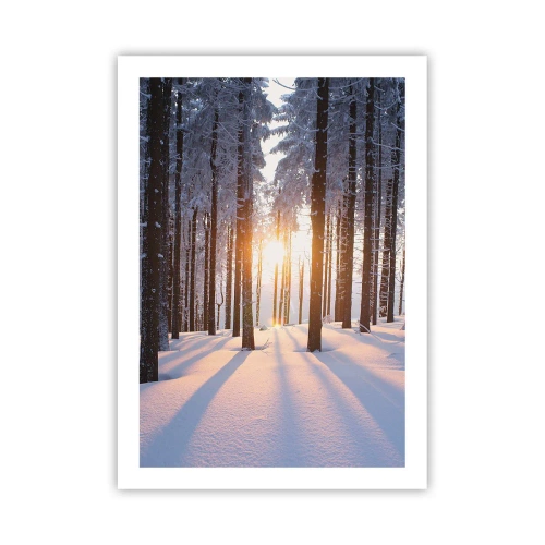 Poster - Winterwald mit Sonnenstrahlen, die durch die Bäume scheinen - 50x70cm - Ganz klar schwarz auf weiß - Moderne Wanddekoration für Wohnzimmer und Schlafzimmer ARTTOR