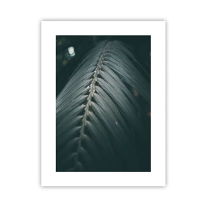 Poster - Die Präzision der Natur - 30x40 cm