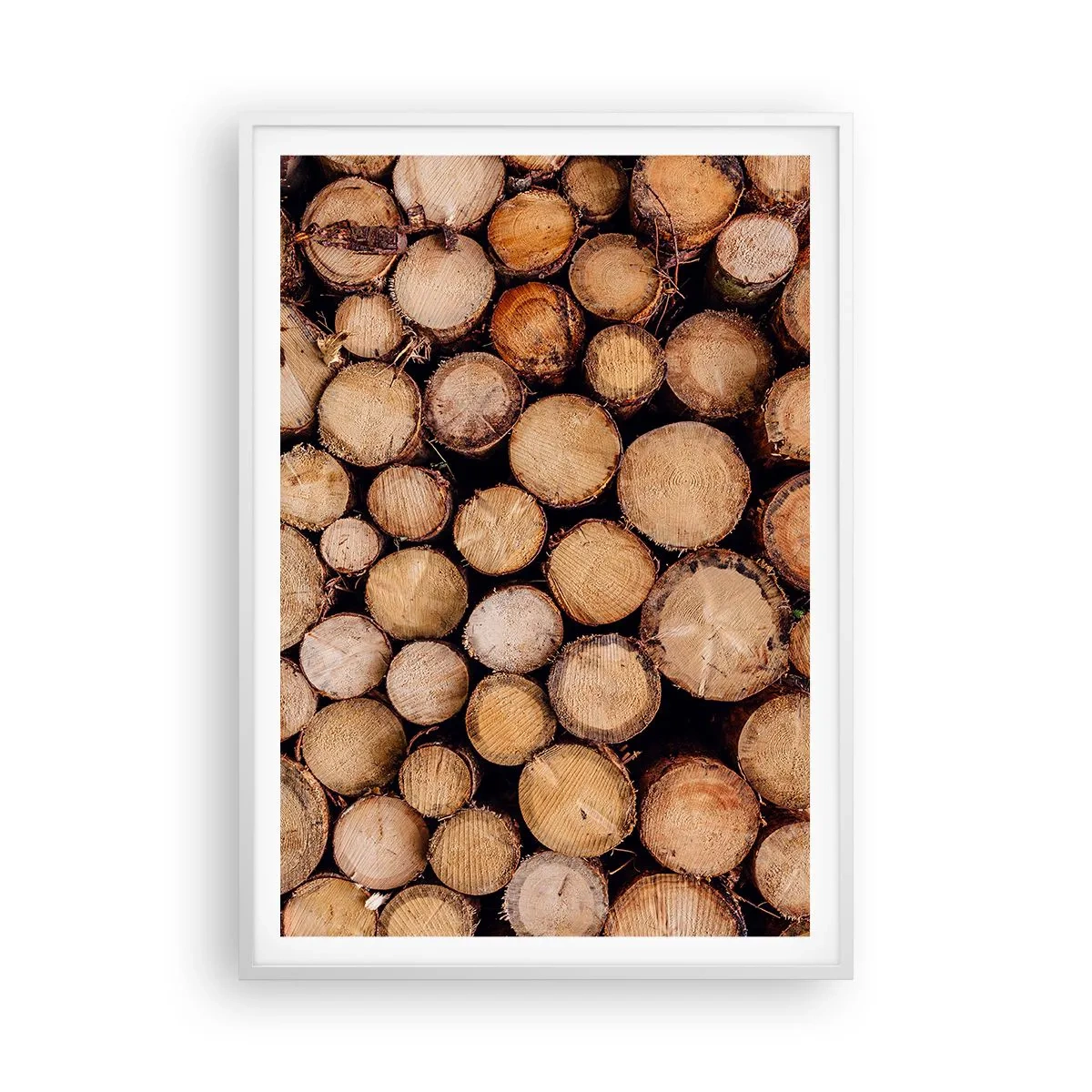 Poster in einem weißen Rahmen - Ein neuer Anfang - 70x100 cm