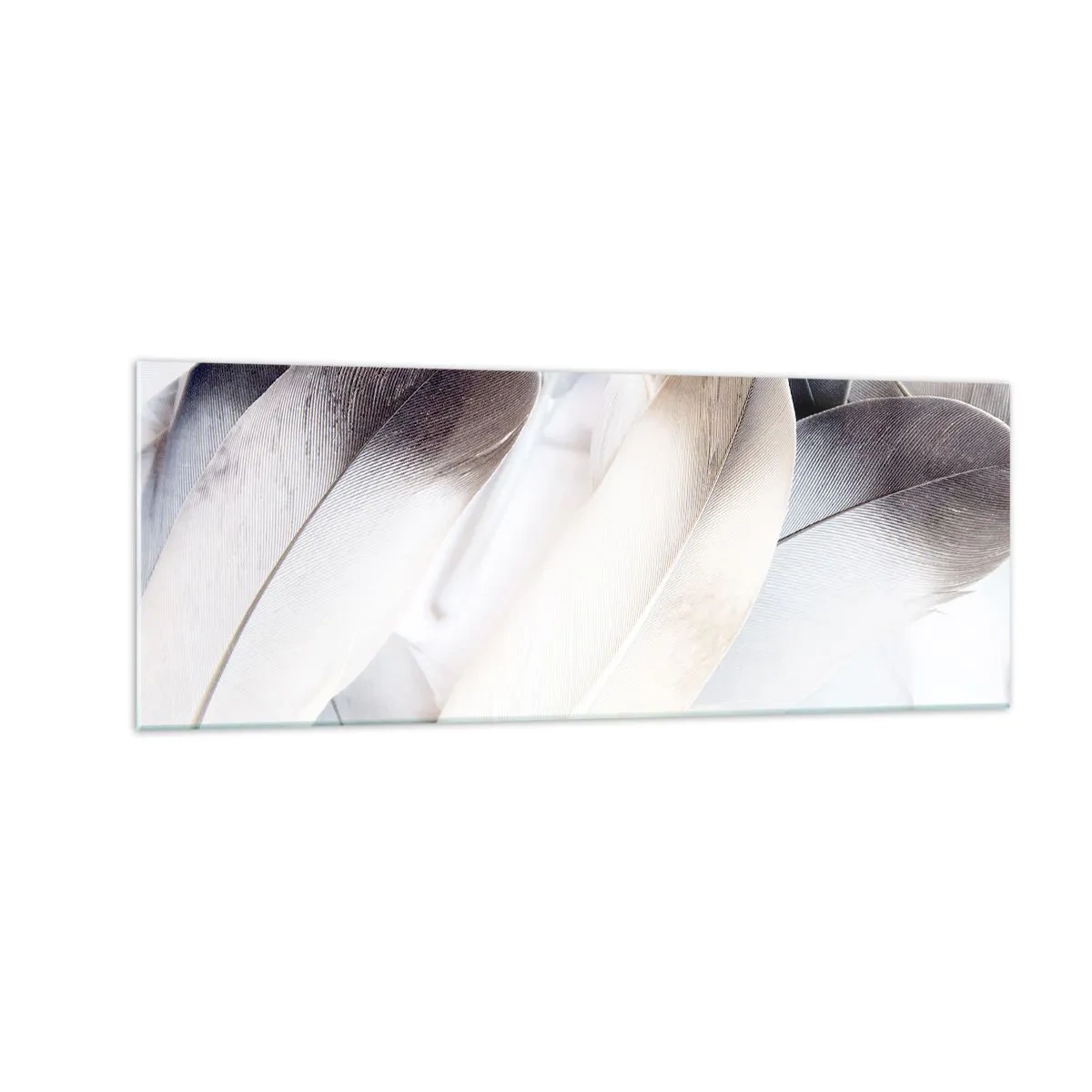 Glasbild - Bild auf glas - Nahaufnahme zarter Federn in Weiß- und Grautönen - 140x50cm - Fast engelhaft - Moderne Wanddekoration für Wohnzimmer und Schlafzimmer ARTTOR