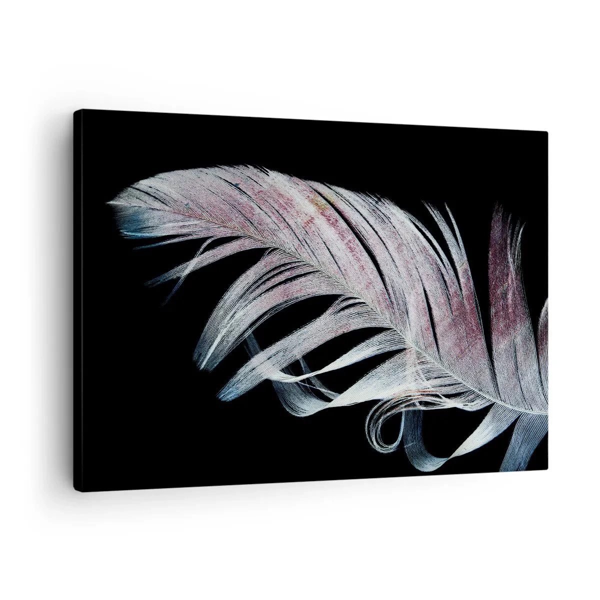 Bild auf Leinwand - Leinwandbild - Eine zarte Feder auf schwarzem Hintergrund in einem künstlerischen Ansatz - 70x50cm - Denke an Berührung - Moderne Wanddekoration für Wohnzimmer und Schlafzimmer ARTTOR