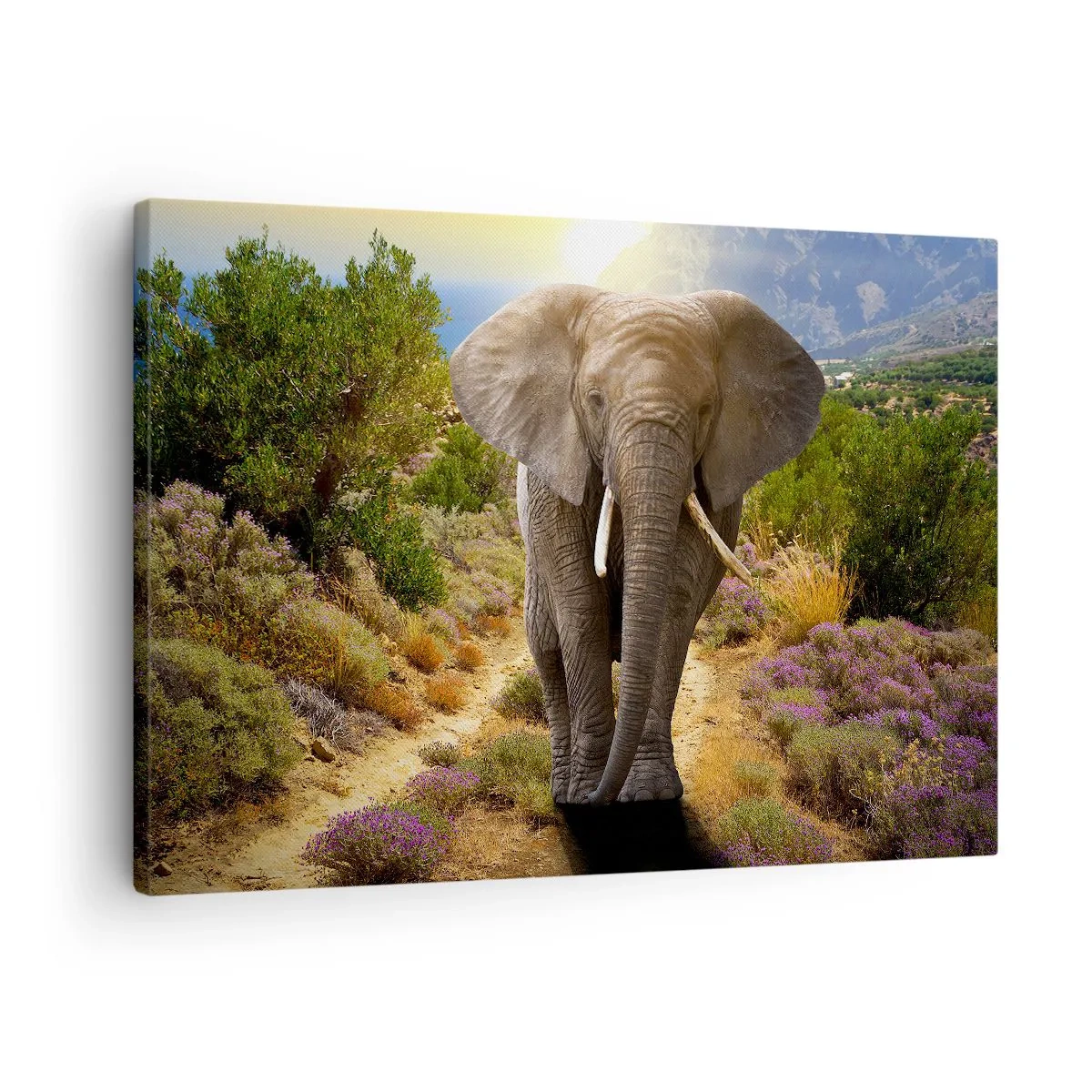 Bild auf Leinwand - Leinwandbild - Ein afrikanischer Elefant vor einer Savannen- und Berglandschaft - 70x50cm - So sah Eden aus - Moderne Wanddekoration für Wohnzimmer und Schlafzimmer ARTTOR