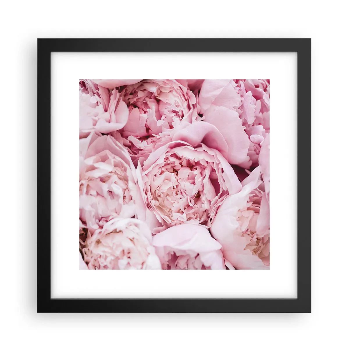 Poster in einem schwarzem Rahmen - Anschmiegsam und duftend - 30x30 cm