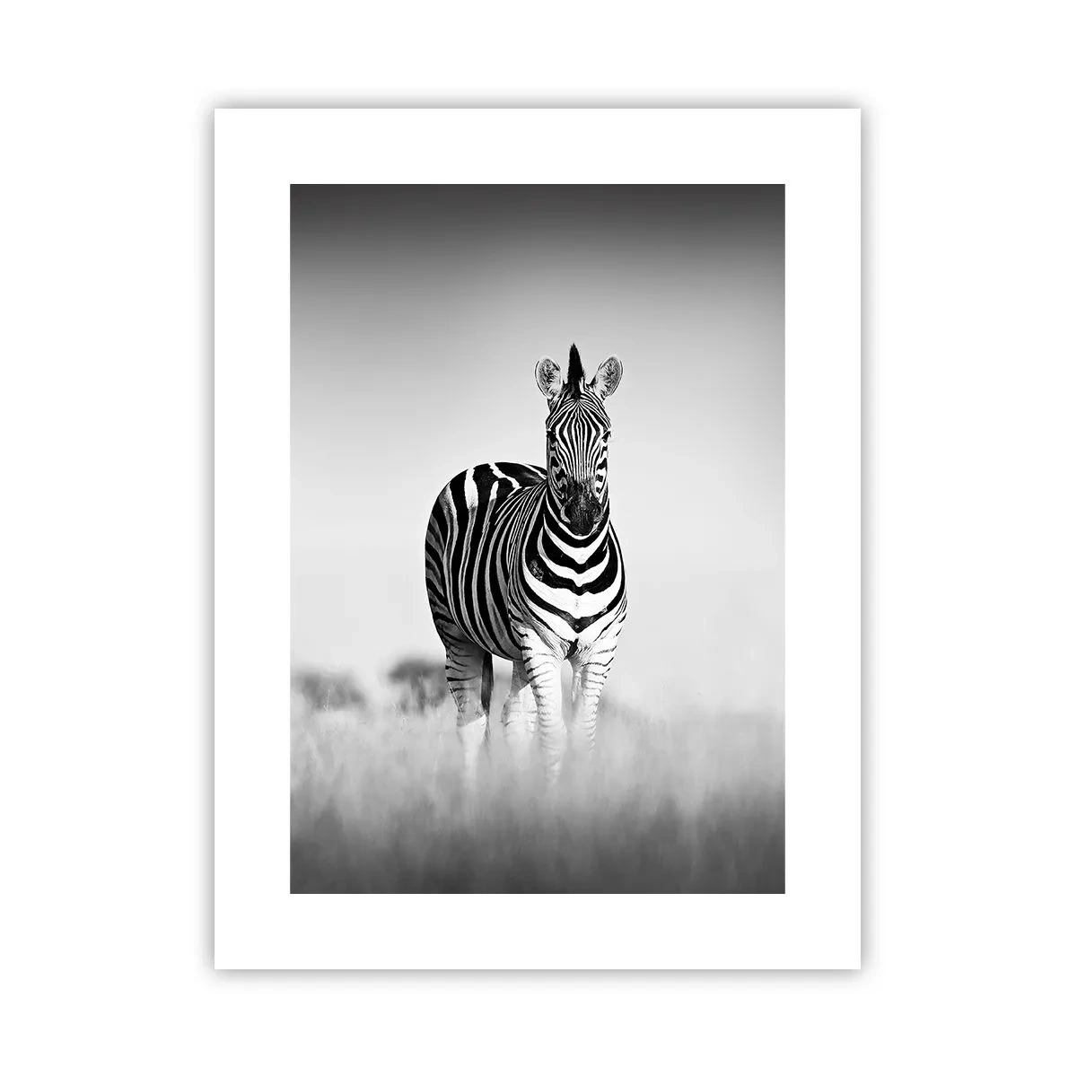 Poster - Die Welt ist doch schwarz-weiß - 30x40 cm