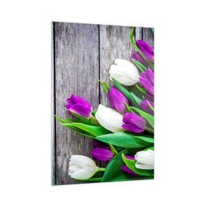 Glasbild - Bild auf glas - Ein Strauß lila und weißer Tulpen auf einem hölzernen Hintergrund - 50x70cm - Am Tag der Frühlingsferien - Moderne Wanddekoration für Wohnzimmer und Schlafzimmer ARTTOR
