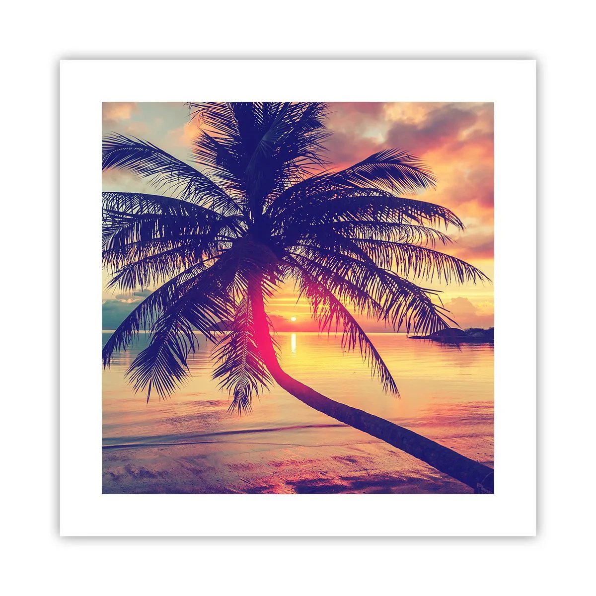 Poster - Abend unter Palmen - 40x40 cm