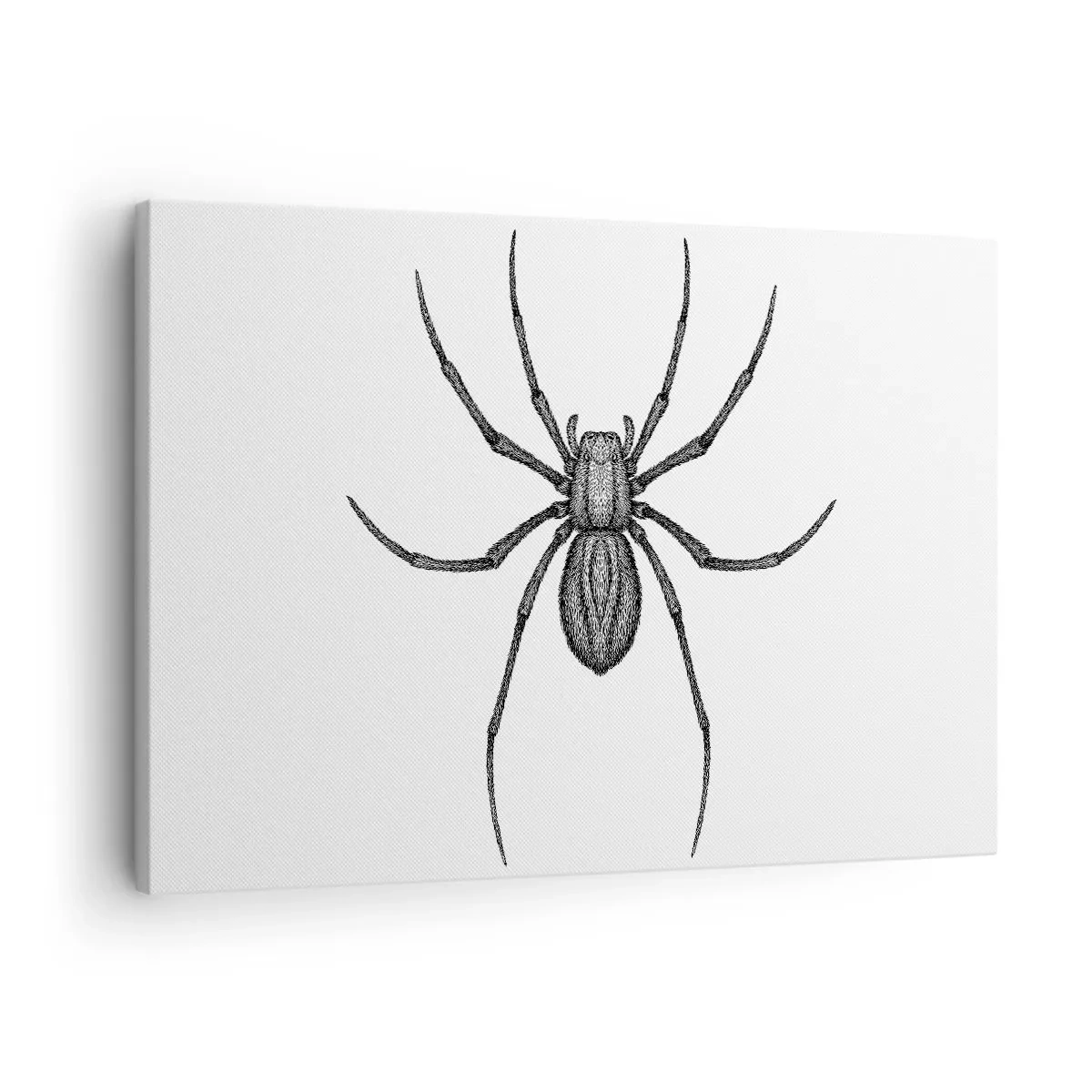 Bild auf Leinwand - Leinwandbild - Detail einer Spinne auf weißem Hintergrund im Cartoon-Stil - 70x50cm - Beunruhigende Präzision - Moderne Wanddekoration für Wohnzimmer und Schlafzimmer ARTTOR