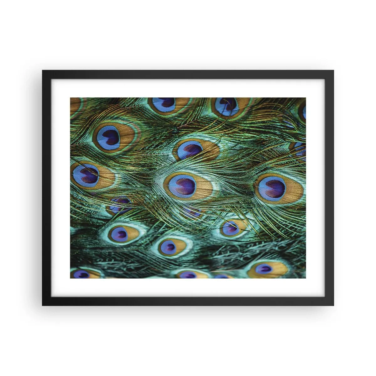 Poster in einem schwarzem Rahmen - Ein Blick mit Pfauenaugen - 50x40 cm