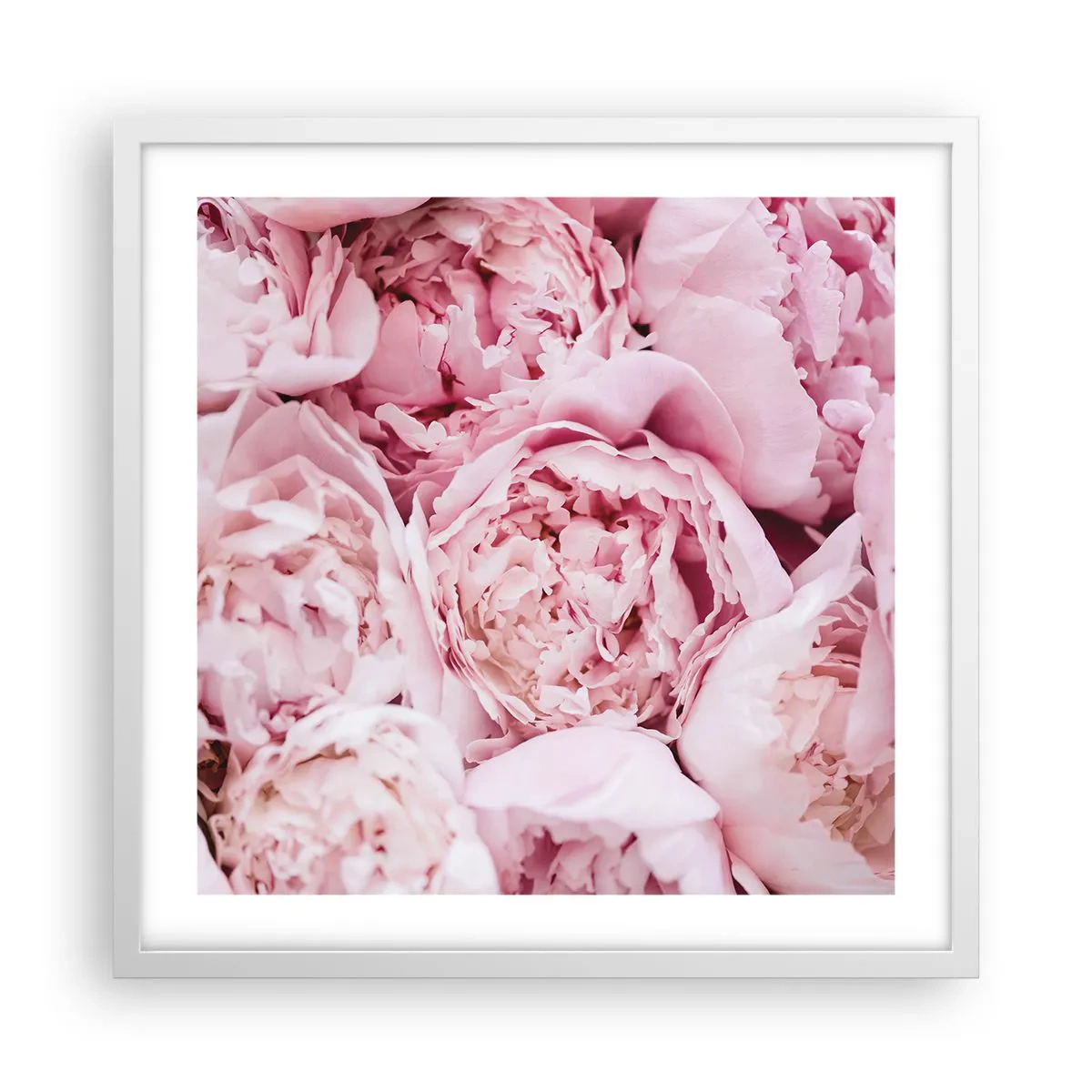 Poster in einem weißen Rahmen - Anschmiegsam und duftend - 50x50 cm