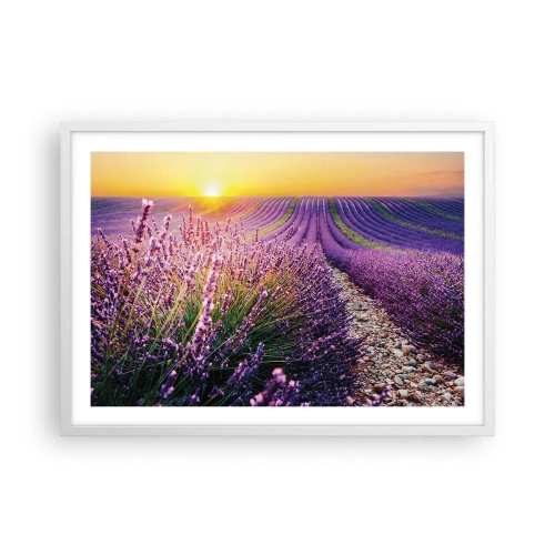Poster in einem weißen Rahmen - Duftende Kornfelder - 70x50 cm