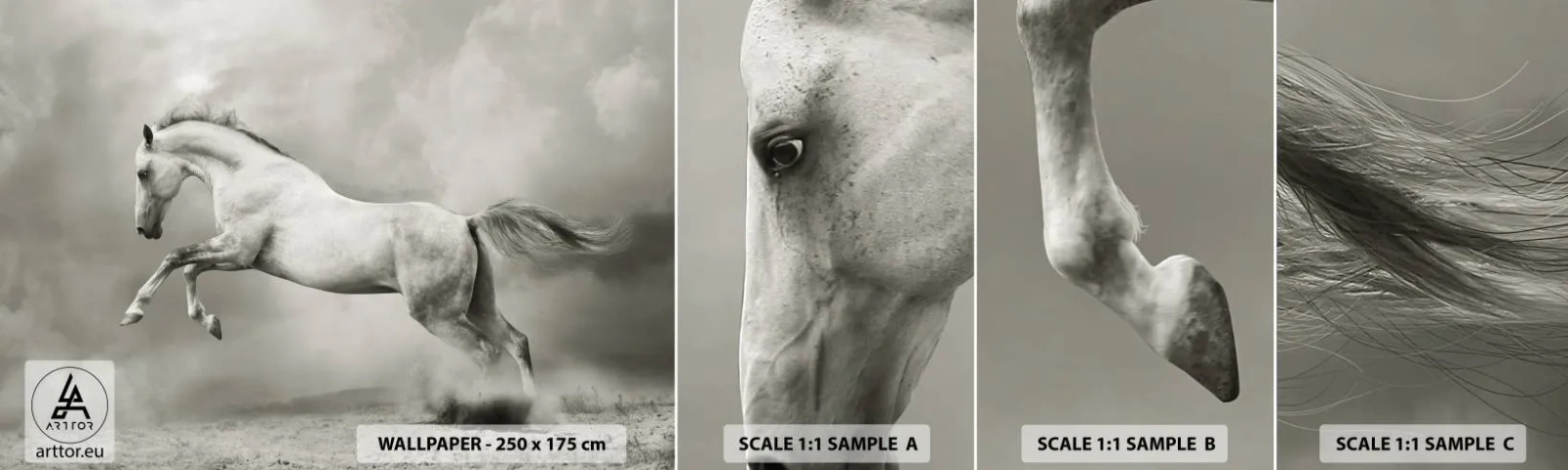 Fototapeten Muster Selbstklebend Deluxe Sticker - Zwischen Aufwachen und Schlafen - Tiere, Pferd, Natur - 100x30 cm