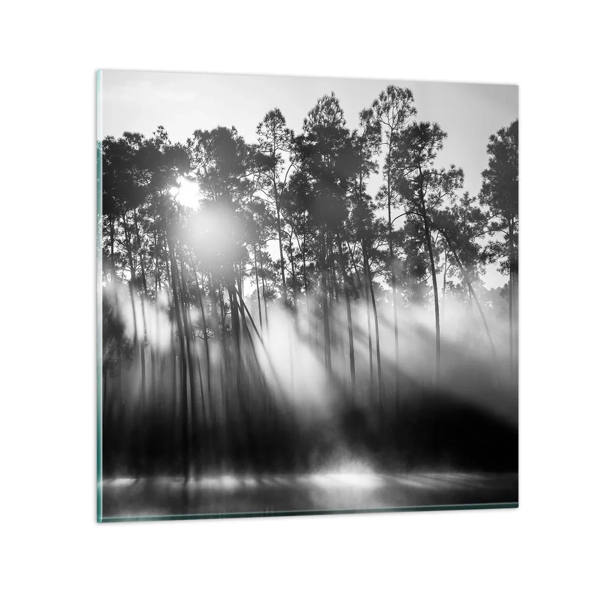 Glasbild - Bild auf glas - Unaufhaltsame Sonne - 50x50 cm