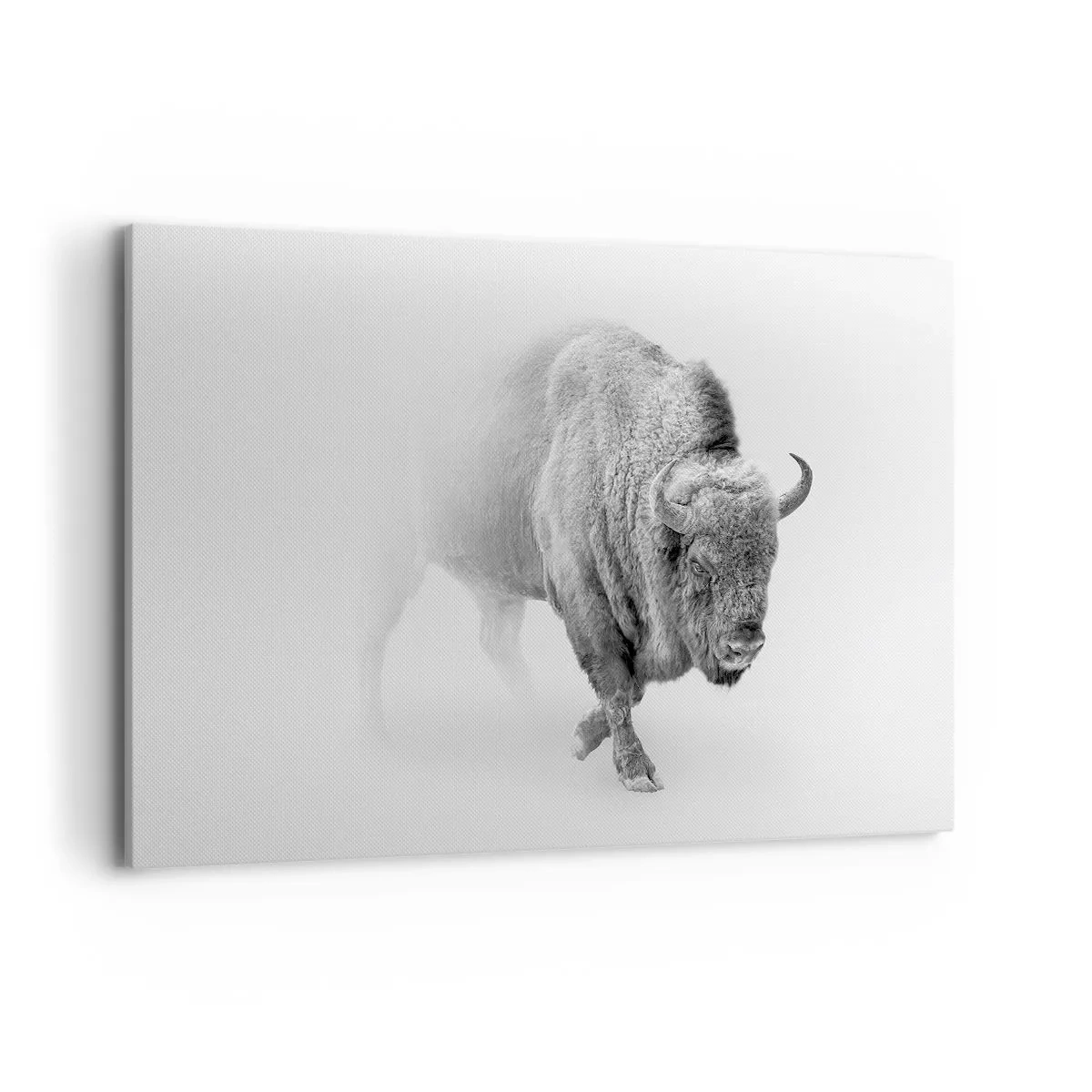 Bild auf Leinwand - Leinwandbild - Weißer Bison in minimalistischem Ambiente - 120x80cm - König der Prärie - Moderne Wanddekoration für Wohnzimmer und Schlafzimmer ARTTOR