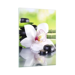 Glasbild - Bild auf glas - Orchidee, Bambus und schwarze Steine vor grünem Hintergrund - 50x70cm - Kühle Frische - Moderne Wanddekoration für Wohnzimmer und Schlafzimmer ARTTOR