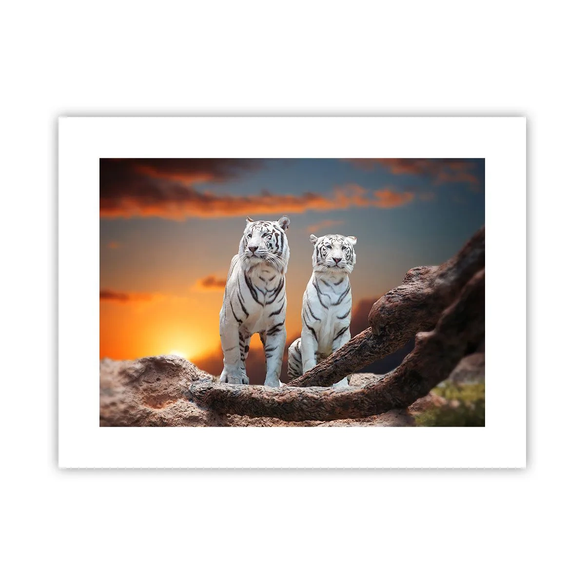 Poster - Genau wie Narnia - 40x30 cm