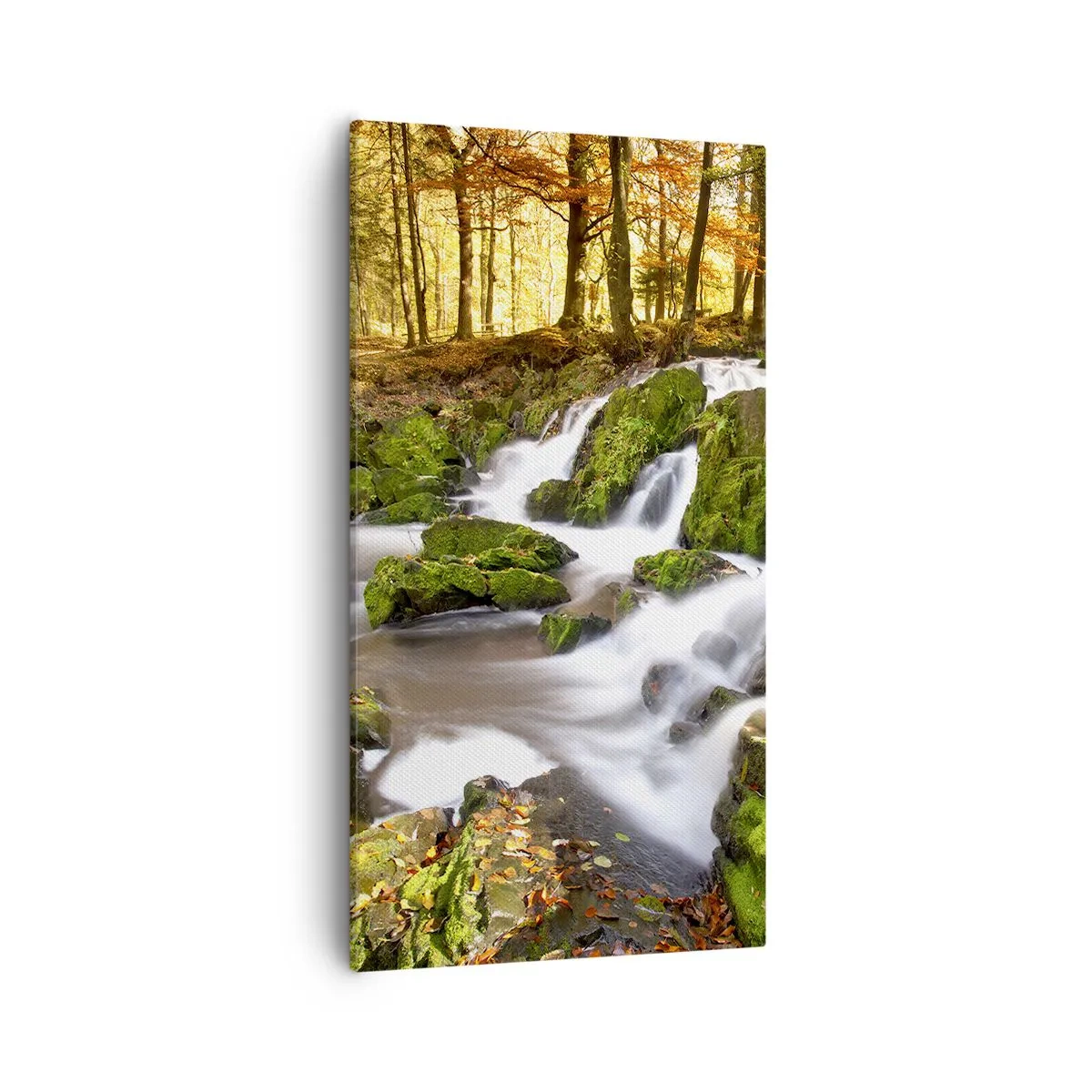 Bild auf Leinwand - Leinwandbild - Rasch durch den herbstlichen Wald - 55x100 cm