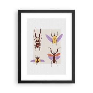 Poster in einem schwarzem Rahmen - Insektenwelt - 30x40 cm